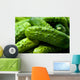 Pickles Wall Mural