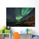 Incredible Aurora Borealis over night sky in Arctic Wall Mural