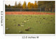 Empty tennis court covered with leaves Wall Mural