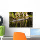 Everglades Crocodile Wall Mural