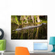 Everglades Crocodile Wall Mural