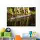 Everglades Crocodile Wall Mural