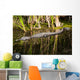 Everglades Crocodile Wall Mural