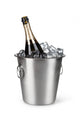 Champagne On Ice Wall Decal