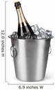 Champagne on Ice Wall Decal