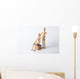 Massage, Physiotherapie Wall Decal