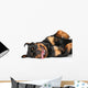 Rottweiler resting Wall Decal