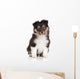 Sheltie puppy on white background Wall Decal