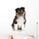 Sheltie puppy on white background Wall Decal