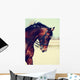 Portrait of a sports horse. Wall Mural