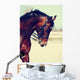 Portrait of a sports horse. Wall Mural