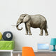 Elephant Wall Decal