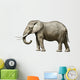 Elephant Wall Decal