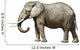 Elephant Wall Decal