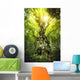 Gnarled Magic Tree Wall Mural