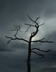 Dead Tree Wall Decal