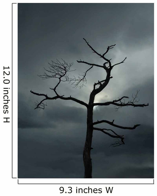 Dead Tree Wall Mural