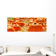 Pumpkins pumpkin patch Wall Mural