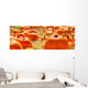 Pumpkins pumpkin patch Wall Mural
