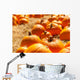 Orange pumpkins in a field of straw Wall Mural