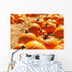 Orange pumpkins in a field of straw Wall Mural