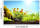 Planting Flowers in a garden Wall Mural