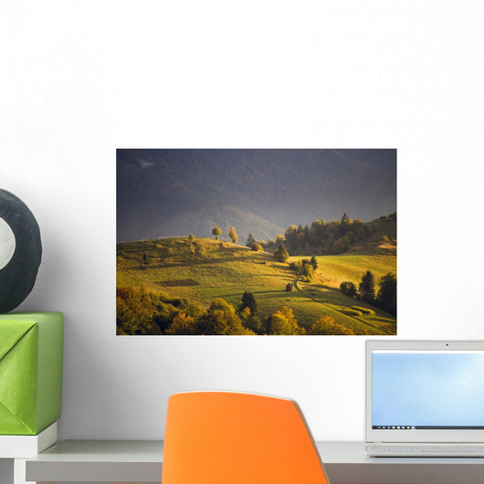 September light Wall Mural