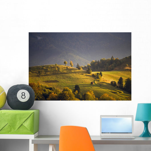 September light Wall Mural
