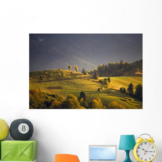 September light Wall Mural