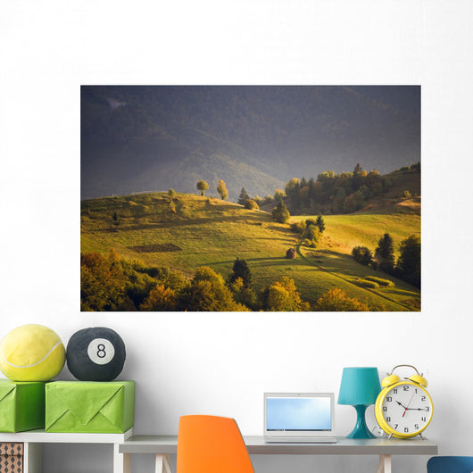 September light Wall Mural