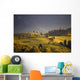 September light Wall Mural