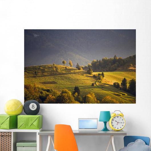 September light Wall Mural