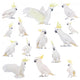 Sulphur-Crested Cockatoo Wall Decal