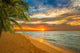 Sunrise Caribbean Beach Wall Decal