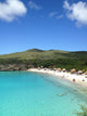 Curacao Wall Decal