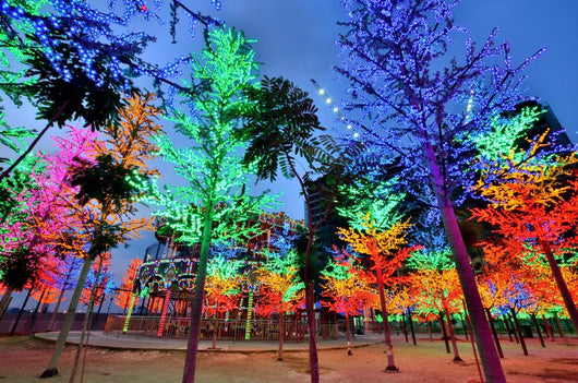 I-City Theme Park, Shah Alam Malaysia Wall Decal