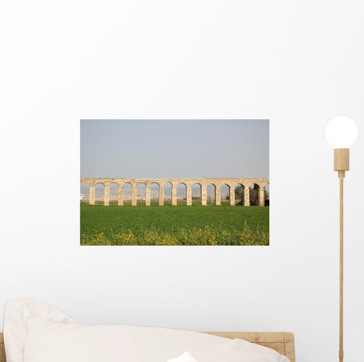 Ancient Viaduct Wall Mural