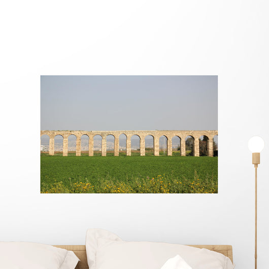 Ancient Viaduct Wall Mural