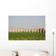 Ancient Viaduct Wall Mural