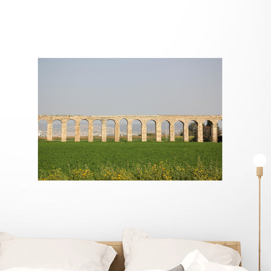 Ancient Viaduct Wall Mural