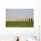 Ancient Viaduct Wall Mural