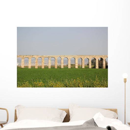 Ancient Viaduct Wall Mural