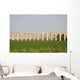 Ancient Viaduct Wall Mural