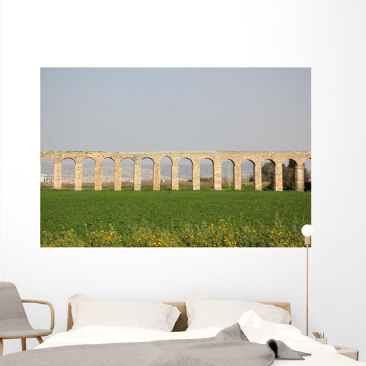 Ancient Viaduct Wall Mural