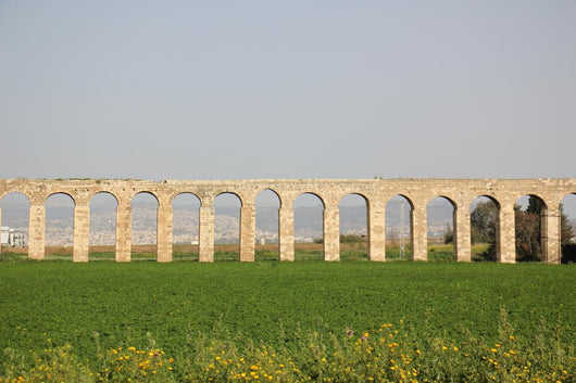 Ancient Viaduct Wall Decal