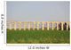 Ancient Viaduct Wall Mural