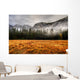 Yosemite Valley Wall Mural