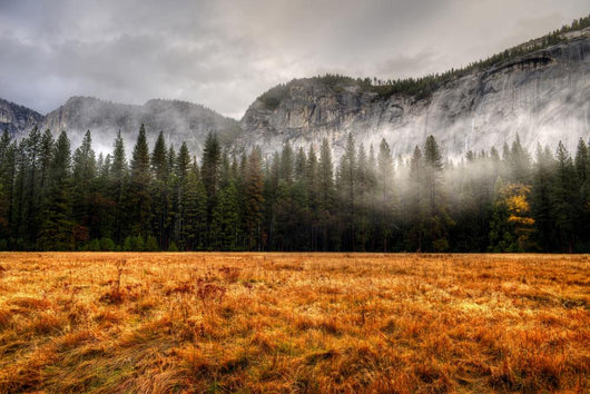 Yosemite Valley Wall Decal