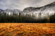 Yosemite Valley Wall Decal
