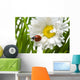 Ladybird in a daisy Wall Mural